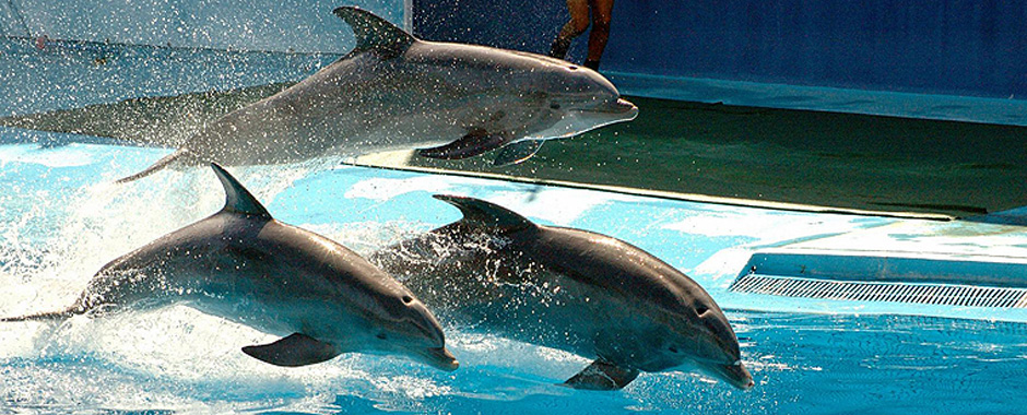 Apartamentos de férias em Albufeira, Algarve